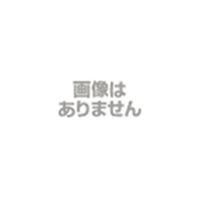 NSK・日本精工 ベアリング 2319(K) 複列ラジアル玉軸受 NSK 日本精工