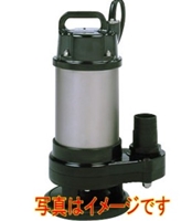 寺田ポンプ製作所 CX-400 水中ポンプ テクポン 汚物混入水用 非自動 